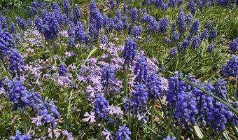 13801 MANOR Rd, Baldwin, MD 21013