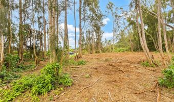 Parcel 49 Alapio Road, Haleiwa, HI 96712