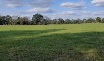 232 344 County Road 344, Bell, FL 32619