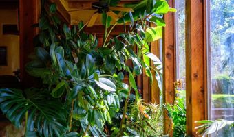 37 Gallina Canyon Rd, Valdez, NM 87580