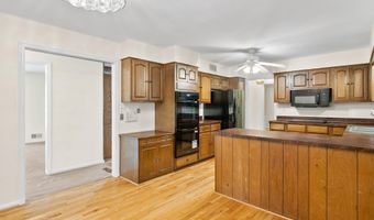 7113 JUDITH Ave, Alexandria, VA 22315