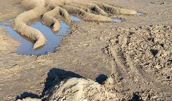 300 N PACIFIC St 37, Rockaway Beach, OR 97136
