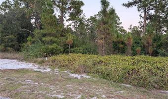 2002 Fitch Ave, Alva, FL 33920