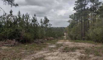 Phillipsville Road lot # 8, Bay Minette, AL 36507