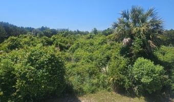 11 Horsemint Trl, Bald Head Island, NC 28461