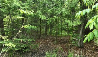 Chris Baum Lane lot 1, Argonne, WI 54511