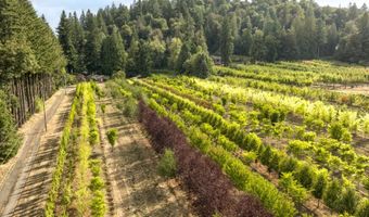 29630 SE WHEELER Rd, Boring, OR 97009