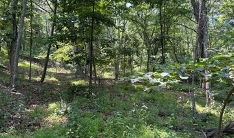 FOX RUN lot 24A 3.22 Ac, Baker, WV 26801