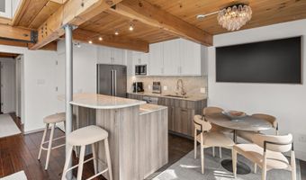 1024 E Cooper Avenue 3a, Aspen, CO 81611