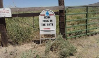 066-070 60 Dry Gulch #066-070-60, Gerlach, NV 89412