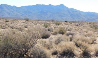308-19 243 N Abeche Dr, Chloride, AZ 86431