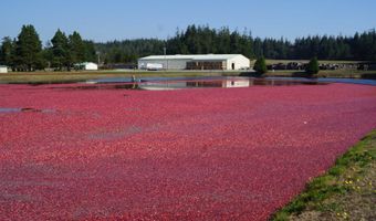 54981 MORRISON Rd, Bandon, OR 97411