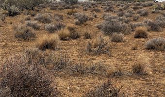 308-12 514 N Colorado Rd, Chloride, AZ 86431