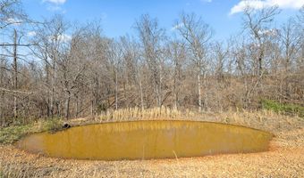 2259 Racetrack Hollow Rd, Anderson, MO 64831