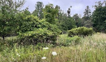 8818 French Rd, Alpena, MI 49707
