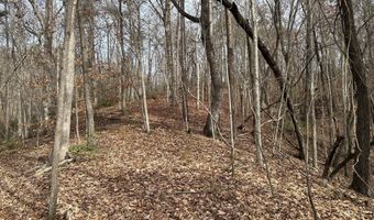 Highway 105, Baldwin, GA 30511