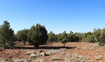 113 County Road 8092 Cedar, Concho, AZ 85924