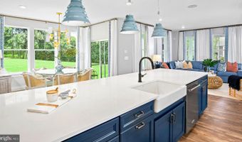 TBB HORNBEAM Drive unit St. Kitts St. Kitts, Frankford, DE 19945