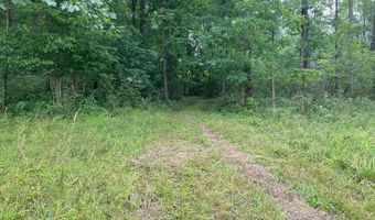 14900 Woodbridge Rd, Camden, MI 49232