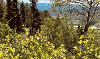 MARTEN Place, Alpine, WY 83128