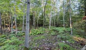 17975 Bear Lk, Hancock, MI 49930