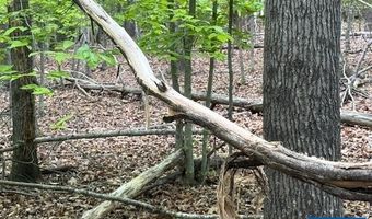 3220 SPOTSWOOD Trl Lot 5, Barboursville, VA 22923