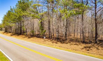 Tract B Grover Wilson Road, Blythewood, SC 29016