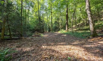 23 59 Ac Chestnut Flats Rd, Andrews, NC 28901