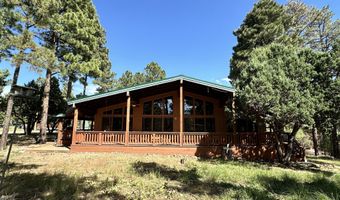 102 Pine Cone Ln, Alto, NM 88312