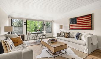 941 Vine St, Aspen, CO 81611