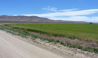 51955 Wilder Creek Rd, Denio, NV 89404