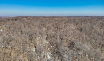 Sandy Branch Road, Bardwell, KY 42023