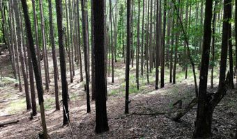 HWY 67, Arkadelphia, AR 71923