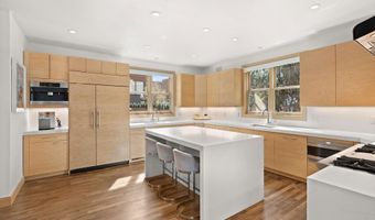 204 N Monarch St, Aspen, CO 81611