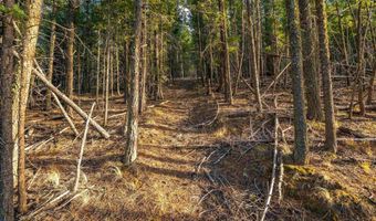 El Camino Real lot 35, Angel Fire, NM 87710