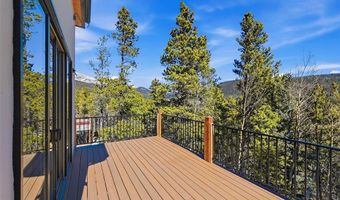 410 N Aspen St, Alma, CO 80420