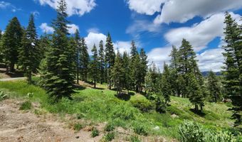 332 Snowshoe Rd, Bear Valley, CA 95223
