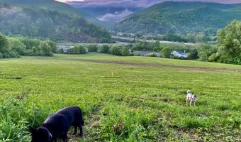 12129 N Scenic Hwy, Bastian, VA 24314