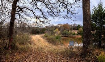 Tract 2 Acme Rd, Asher, OK 74826