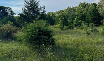 Co Rd 539, Ava, MO 65629
