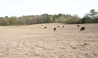 S Washington NE Street, Brookhaven, MS 39601