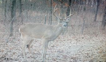5565 State Hwy B, Appleton City, MO 64724
