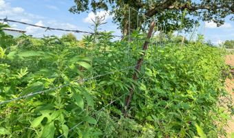 10 AC Avenue B, Atwood, OK 74827