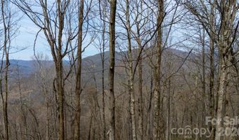 Tyler Lane, Bakersville, NC 28705