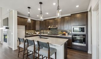 1509 Kadynce Ln, Anna, TX 75409