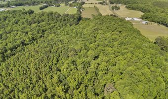 127 Nicodemus Kornegay Ln, Albertson, NC 28508