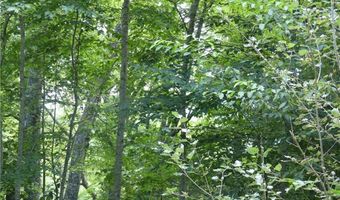 Lot 17 Farm Loop Road, Banner Elk, NC 28604