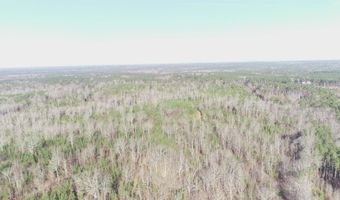 Buckhead Rd, Blair, SC 29015