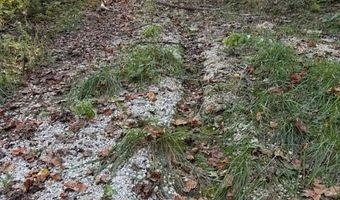 Tract 2 Dunaway Road, Beattyville, KY 41311