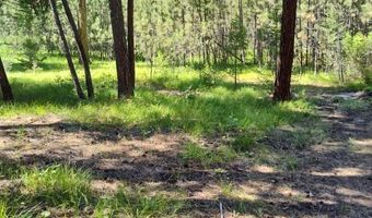1825 Copper Cliff Dr, Bonner, MT 59823